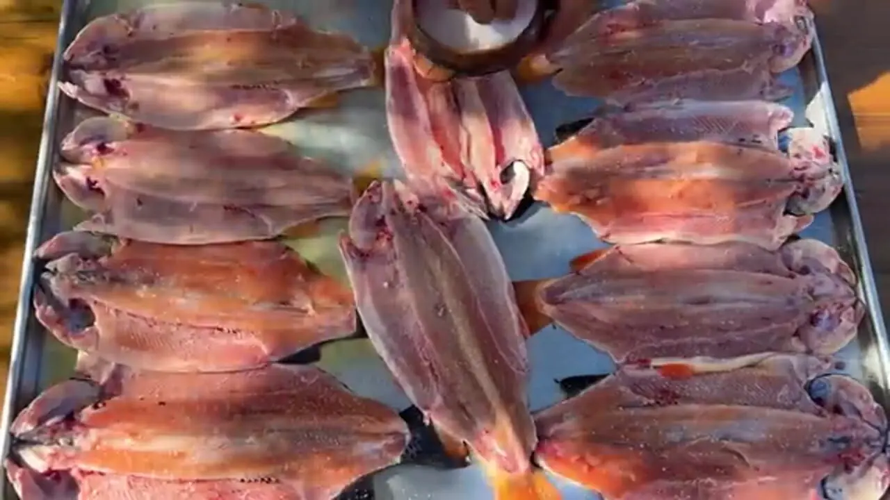 غذای روستایی در آذربایجان؛ صید و کباب کردن ماهی قزل آلا و پخت نان تازه