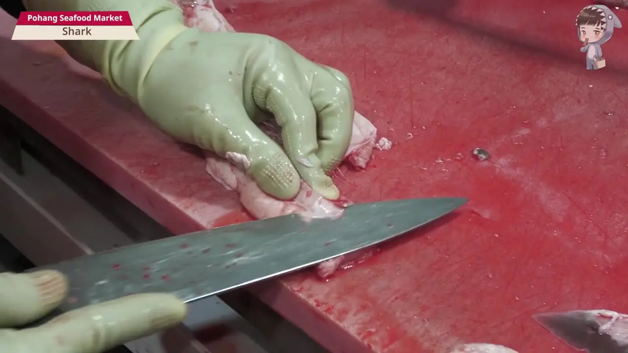 غذای خیابانی در کره؛ برش زدن کوسه و تهیه دو نوع غذا با آن در پوهانگ