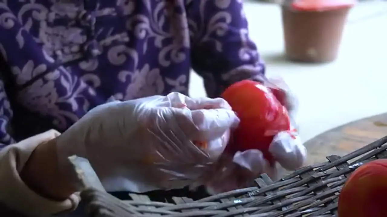 غذای روستایی در چین؛ برداشت گوجه از مزرعه و تهیه سس کچاپ با آن