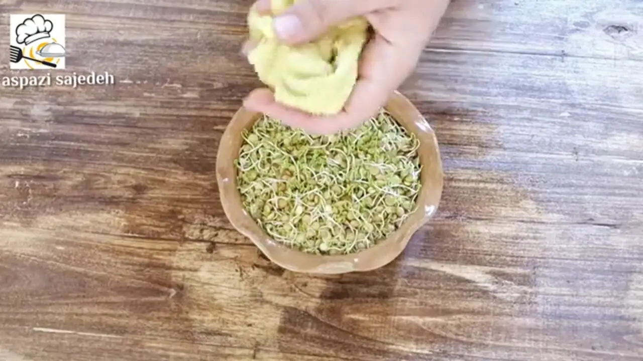 آموزش کاشت سبزه عدس برای سفره هفت سین در 9 روز