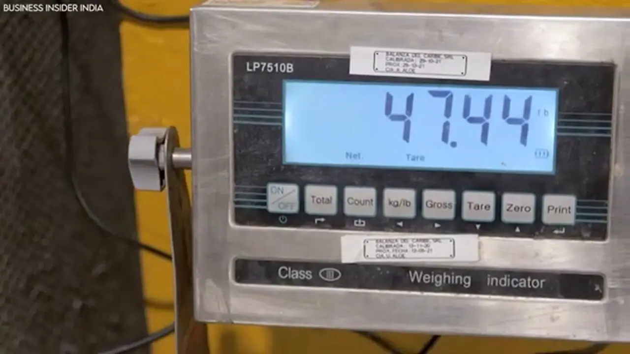 مراحل دیدنی برداشت و فرآوری آلوئه ورا و تولید ژل در آفریقا