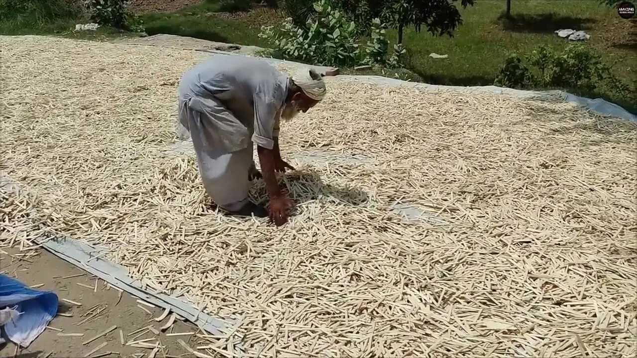 چوب بستنی چگونه به صورت انبوه در پاکستان تولید می شود؟