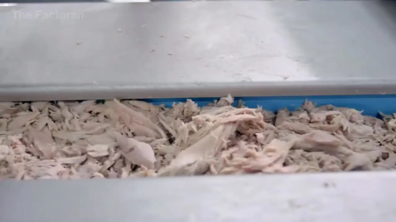 صفر تا صد روند تولید کنسرو ماهی تن در چین