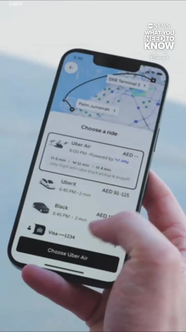 تاکسی اینترنتی پرنده هم آمد!