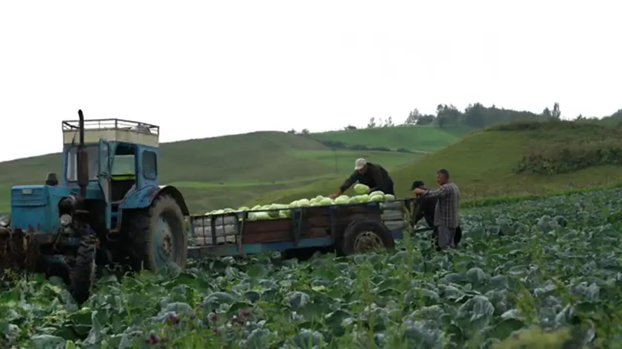 ببینید| غذای روستایی در آذربایجان؛ پخت کیک پای سیب در طبیعت زیبای روستا