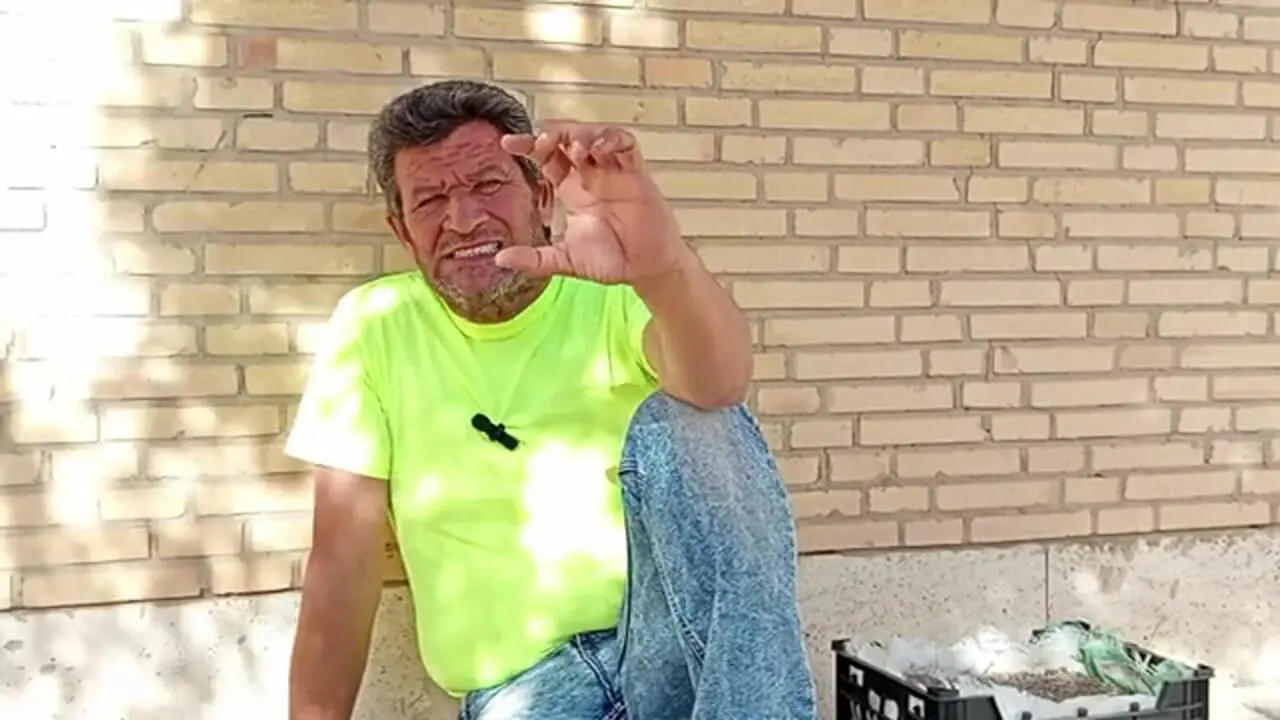 ببینید| آموزش ساده کاشت خیار در جعبه میوه و در حیاط خانه