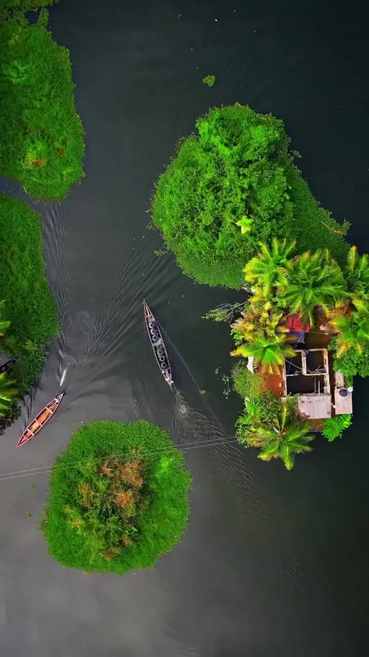 ببینید| زندگی روی آب در هند را ببینید!