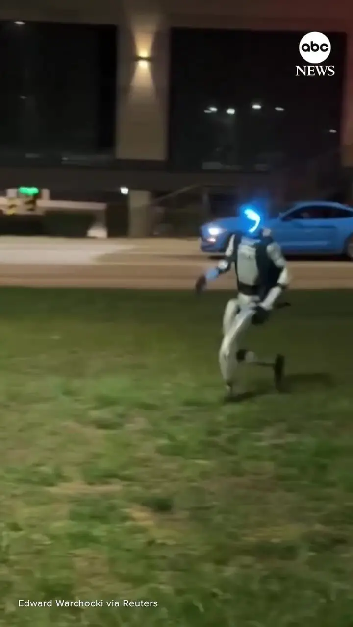 ببینید| ربات انسان‌نما گرازهای وحشی را از محله‌ بیرون کرد