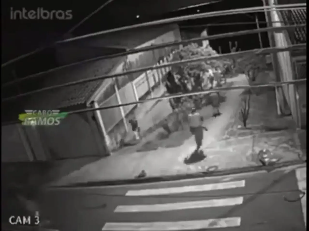 ببینید| یک ویدیوی عجیب، واقعی و پربیننده: فرار همزمان شوهر، دزد و گربه!