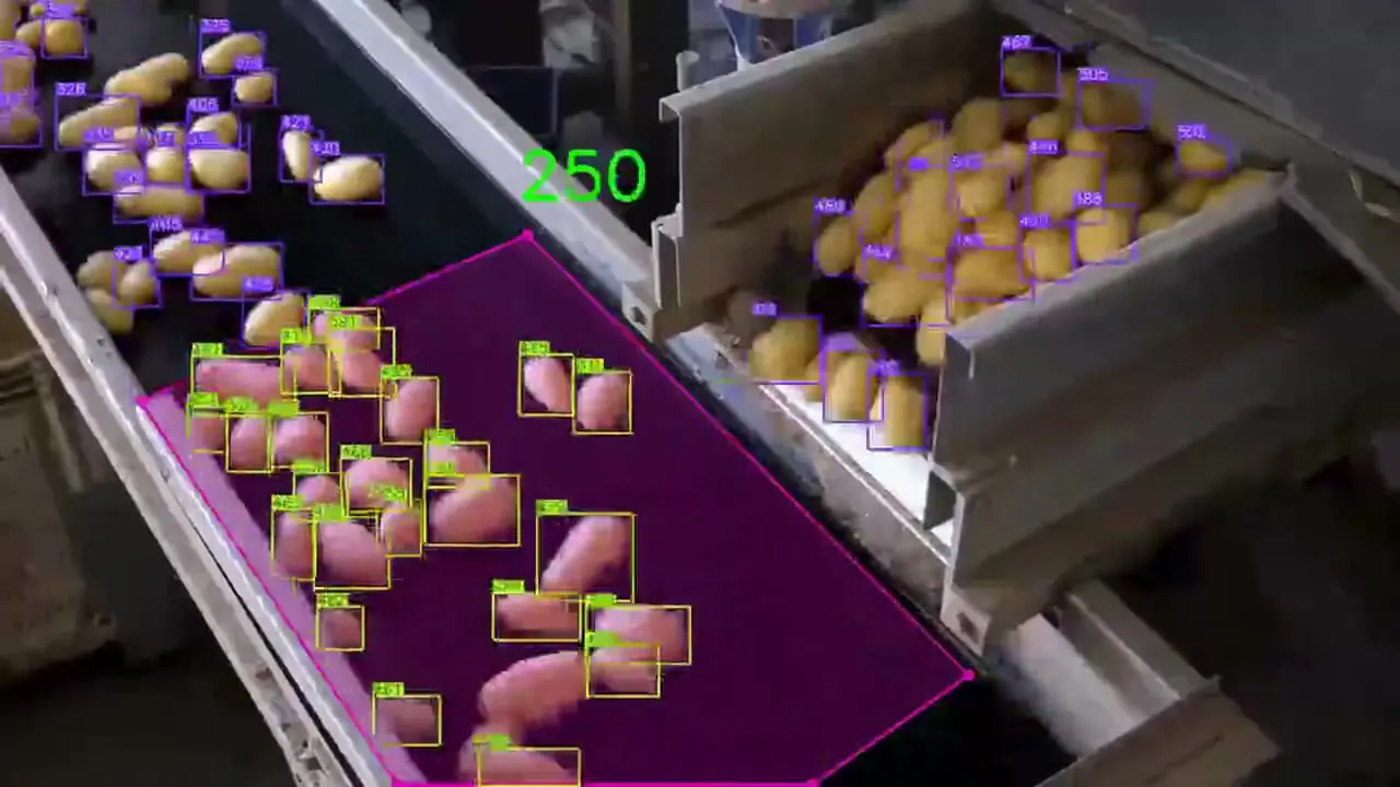 ببینید| شمردن سیب زمینی با هوش مصنوعی