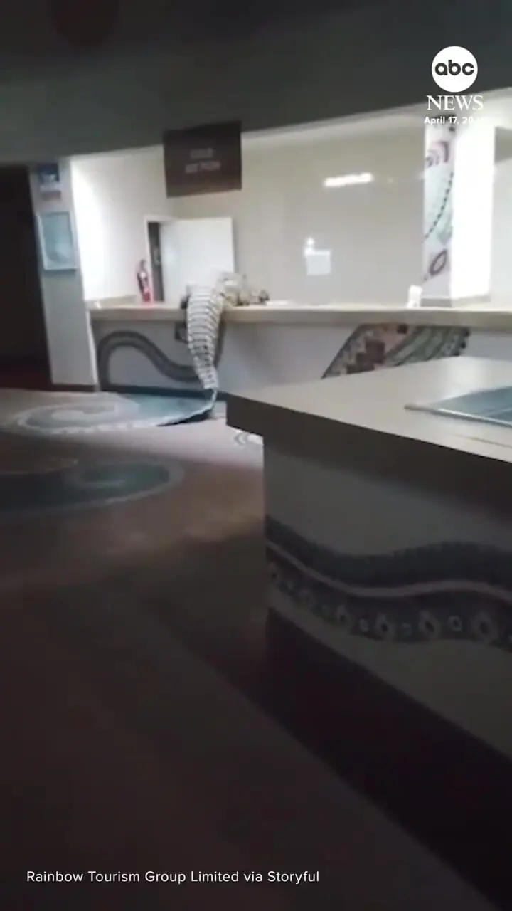 ببینید| تصاویر تکان‌دهنده از ورود تمساح غول‌پیکر به آشپزخانه هتل