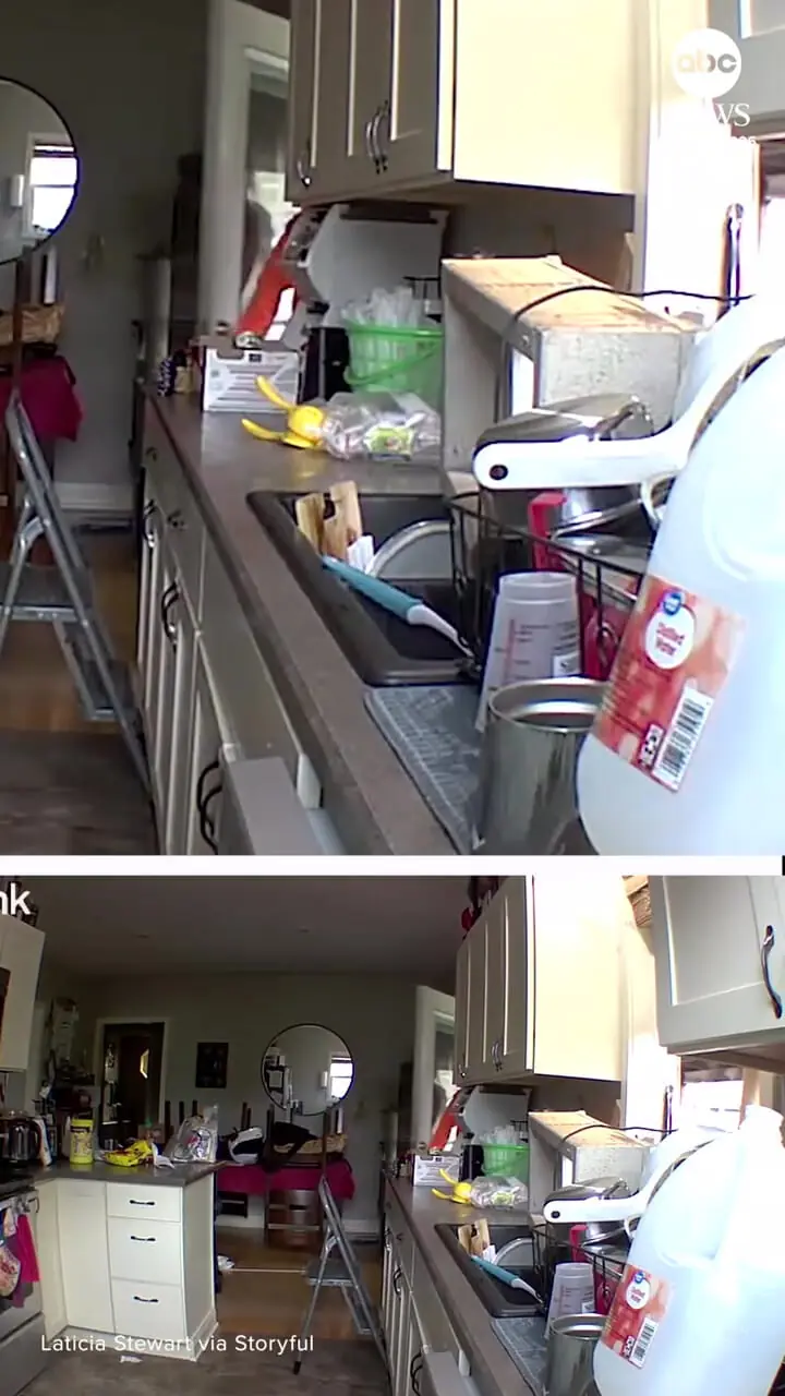 ببینید| درگیری گربه خانگی و راکون پس از ورود غیرمنتظره