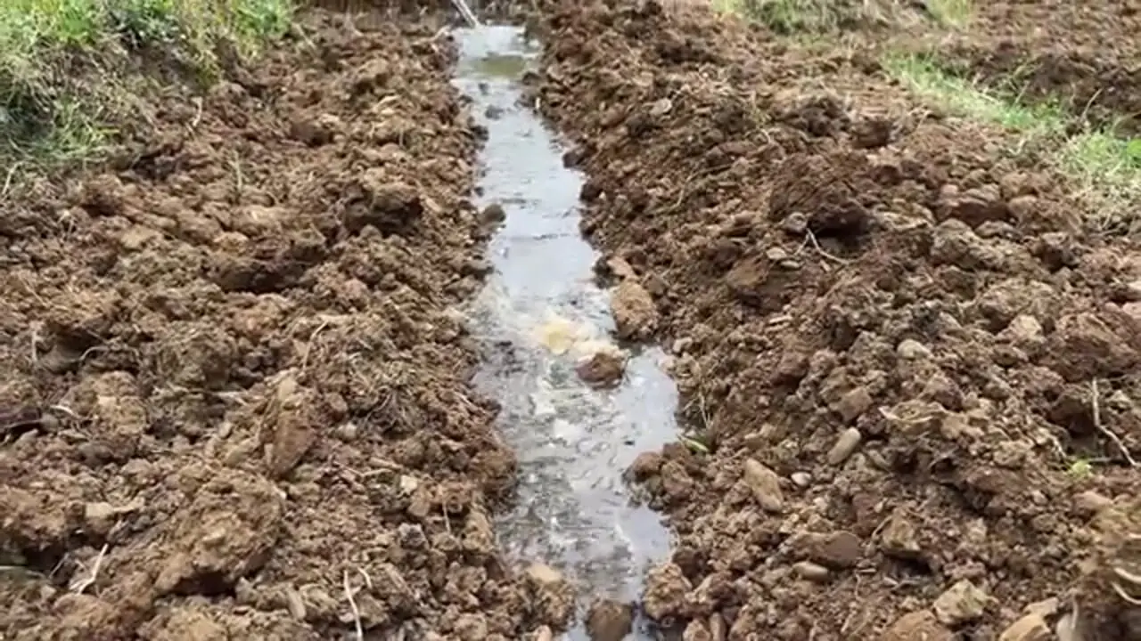 غذای روستایی در مراکش؛ برداشت باقالی تازه از مزرعه و پخت آن روی آتش