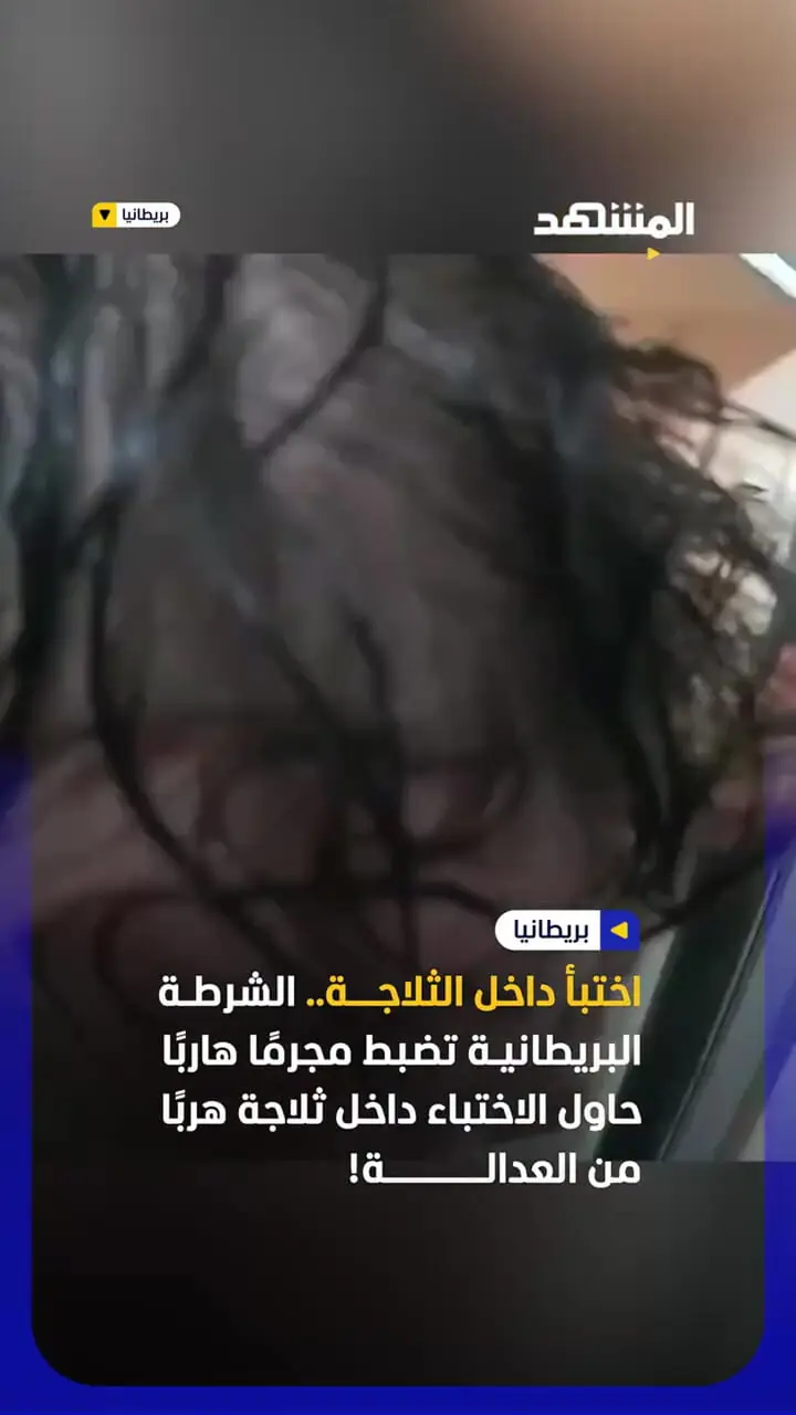 ببینید| مرد تحت تعقیب پلیس در یخچال مخفی شد