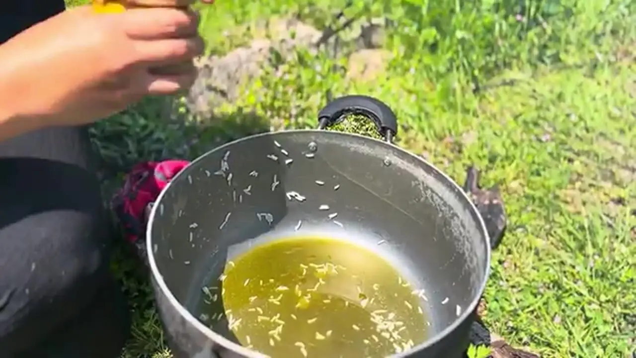 غذای روستایی در ایران؛ تهیه جوجه کباب ترش در جنگل