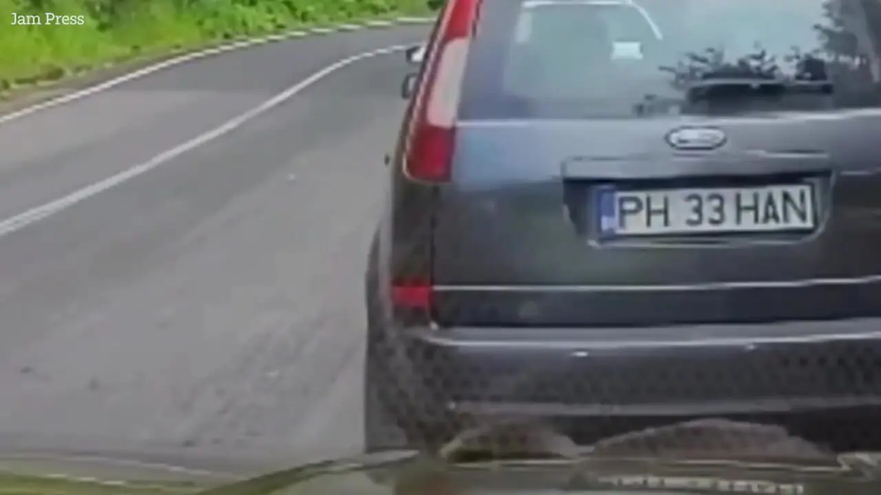 لحظه حمله خرس وحشی به یک گردشگر که از وحشت میخکوب شد!