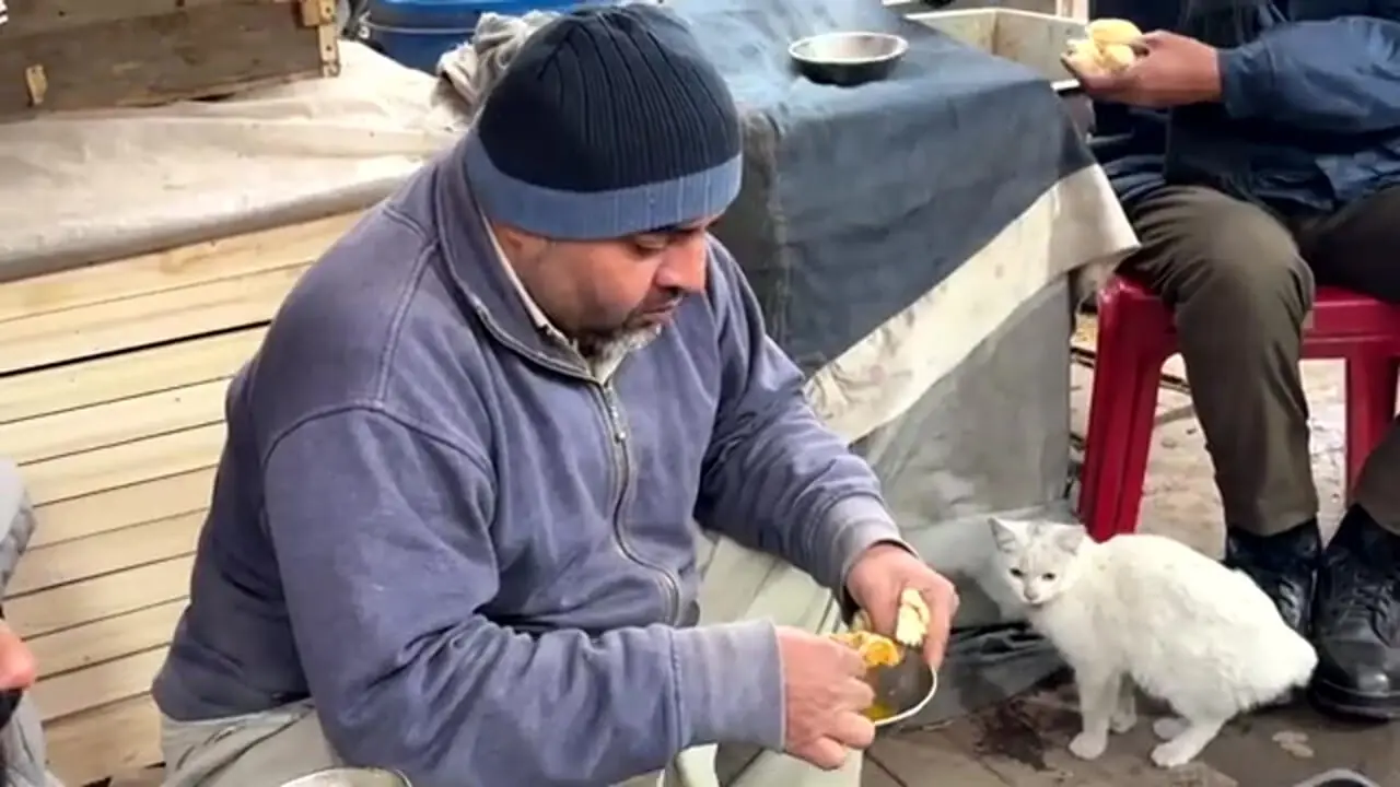 غذای خیابانی در پاکستان؛ پخت کله پاچه برای صبحانه در کراچی