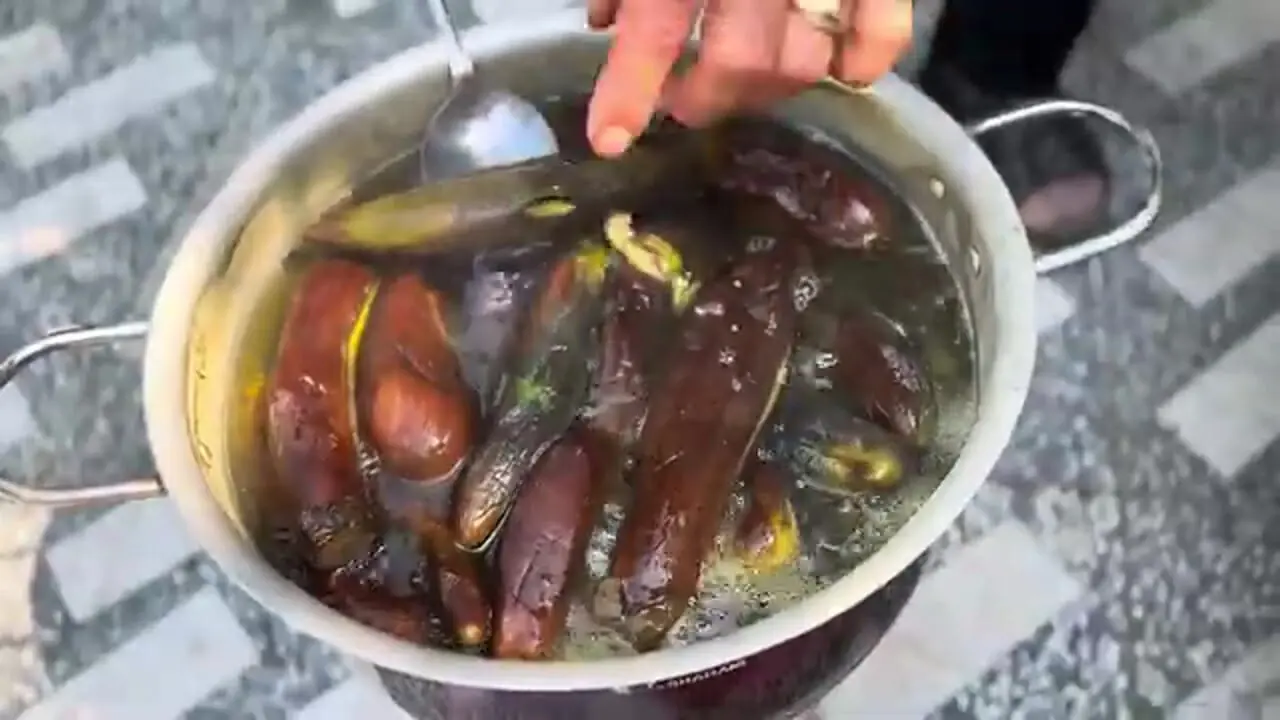 غذای روستایی در ایران؛ برداشت بادمجان از مزرعه و تهیه ترشی و کشک بادمجان با آن