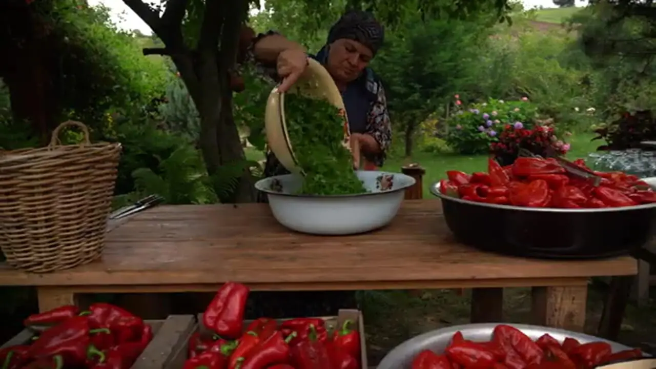 غذای روستایی در آذربایجان؛ تهیه ترشی با فلفل دلمه ای برای زمستان