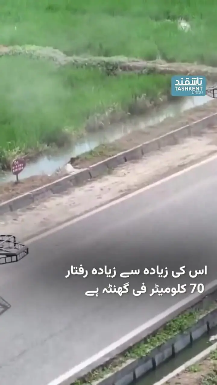 رونمایی از اسکیتبورد پرنده در چین