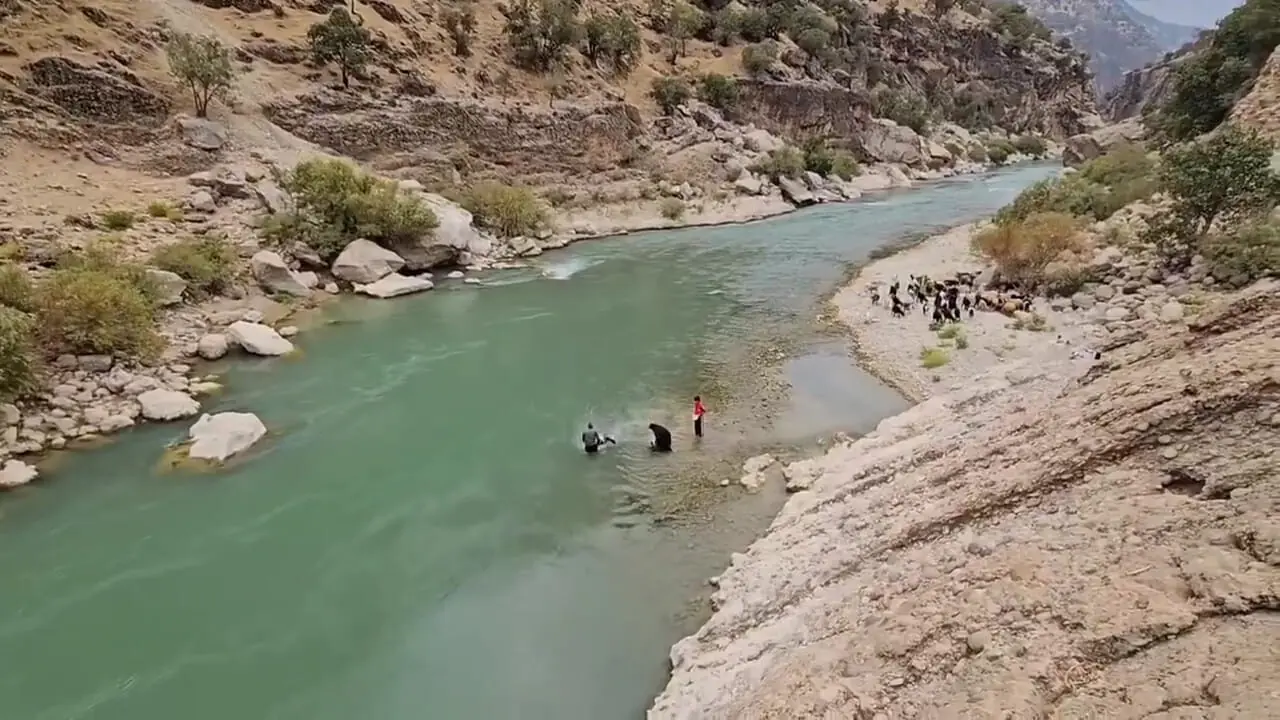 شیرجه زن بختیاری در آب برای شستوشوی گوسفندان