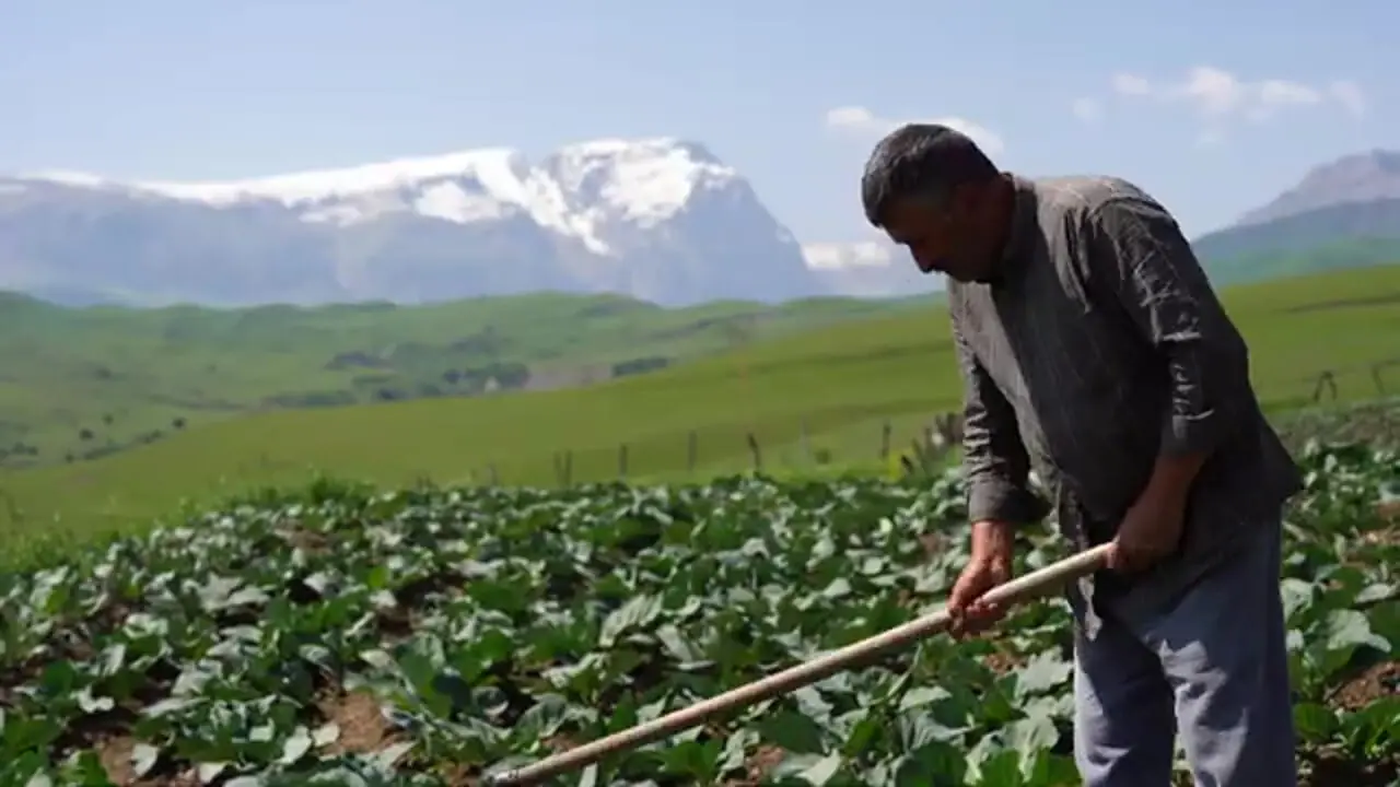 غذای روستایی در آذربایجان؛ پخت نان سنتی با گوجه فرنگی خشک شده