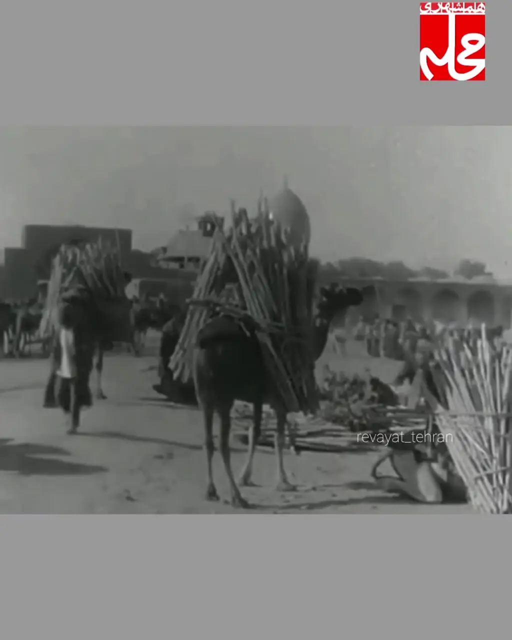 ویدیویی دیده نشده از تهران؛ ۱۰۵ سال پیش